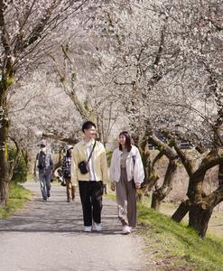 春を告げる、梅の香り