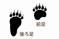 kumaasiato
