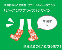 日光市をイメージしたブーツ柄