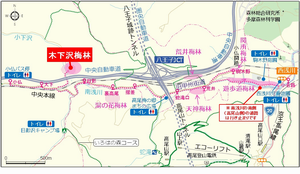 木下沢梅林案内図