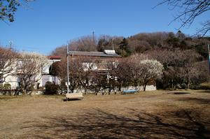 関所梅林0220-公園奥