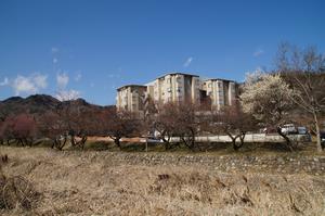 遊歩道梅林0220-駒木野