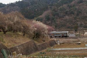 荒井梅林0224-鉄道