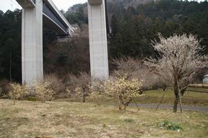高尾梅の郷まちの広場0224-公園内