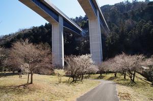 高尾梅の郷まちの広場0227-公園内