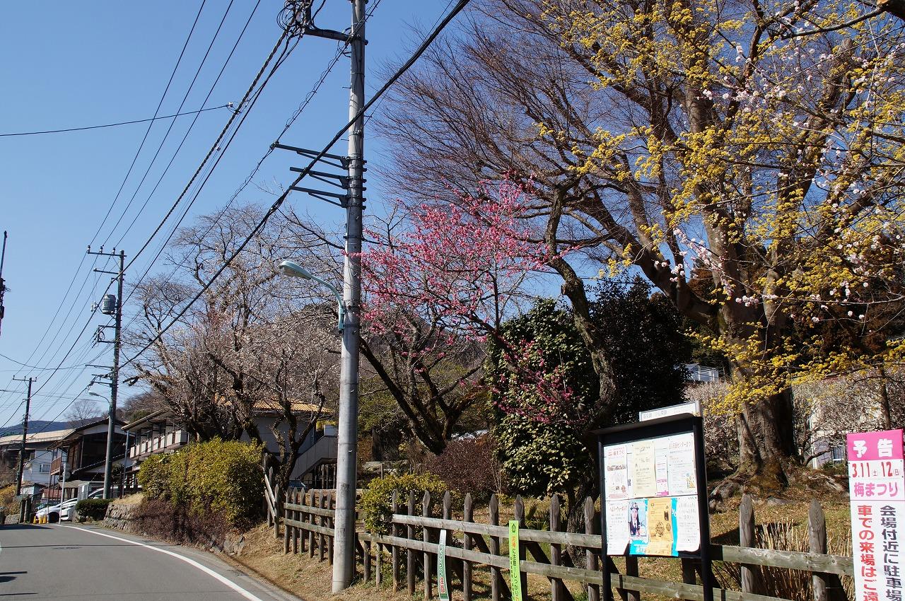 関所道路沿い0303