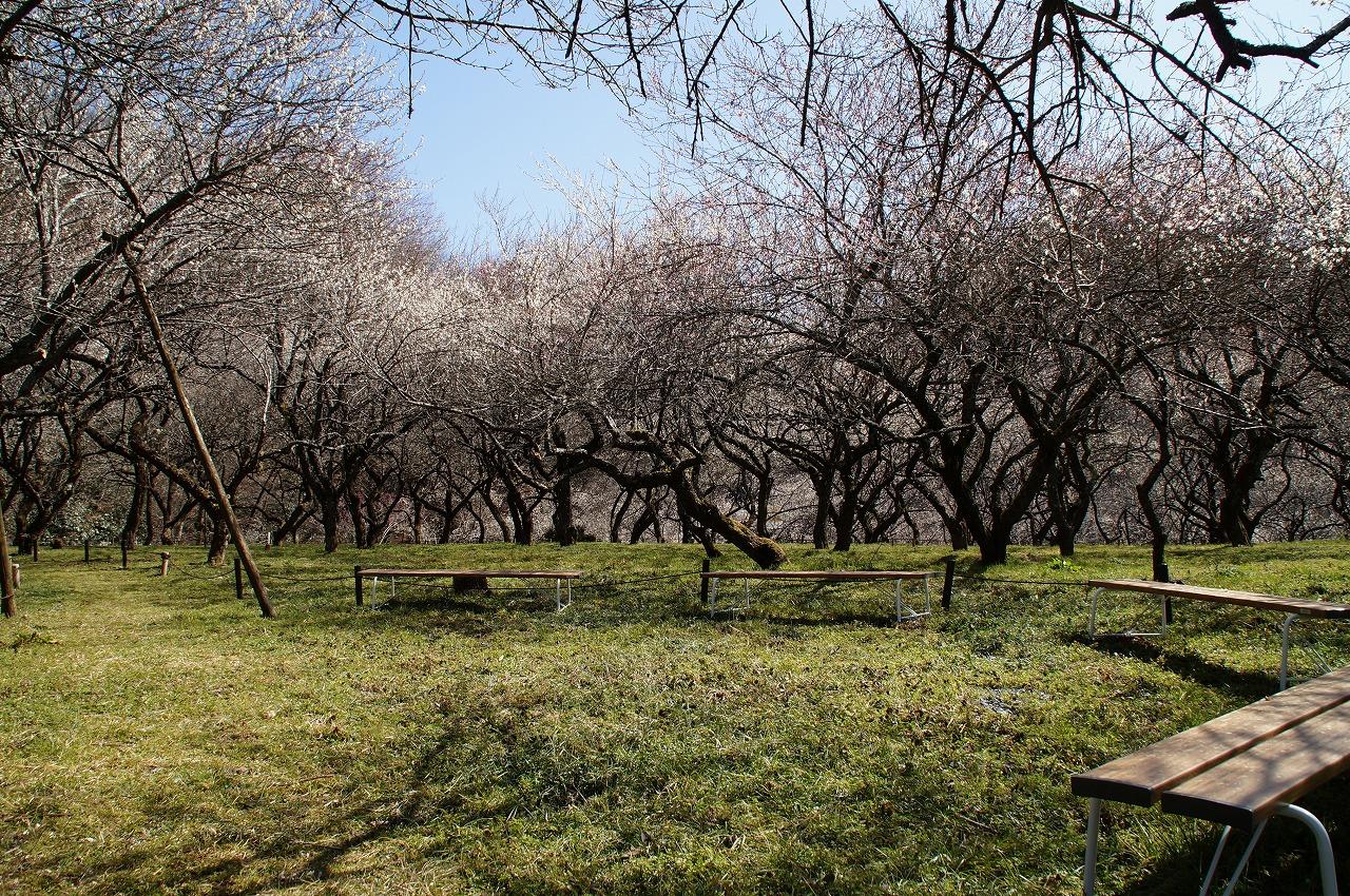 木下沢ai広場0303