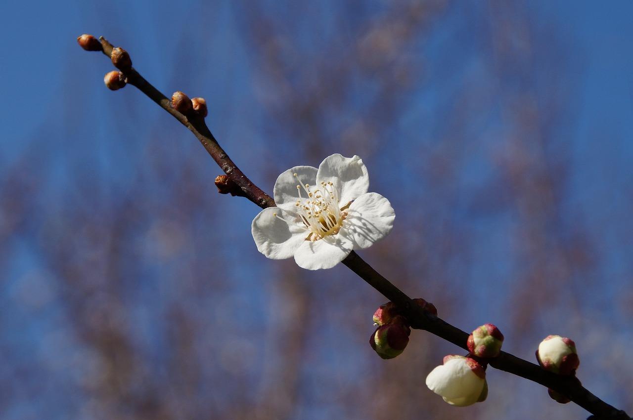 木下沢アップ20303
