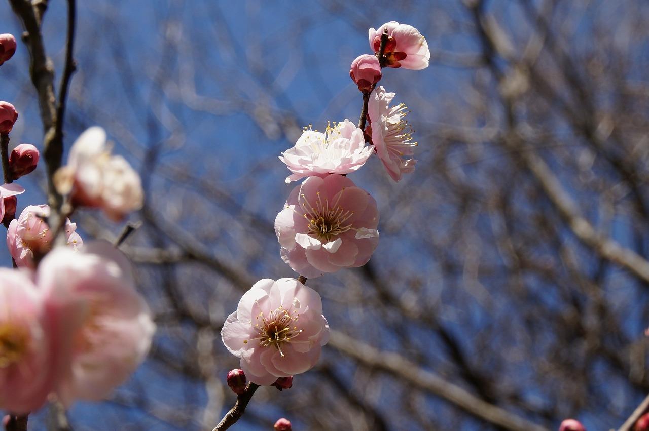 木下沢アップ30303