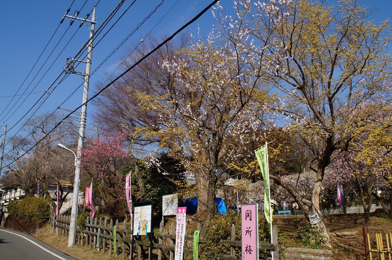 関所道路沿い0307