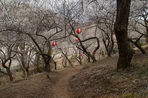 天神梅林天神-道0310