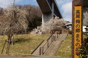 まちの広場-階段下0310