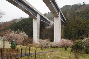 まちの広場-道から0313