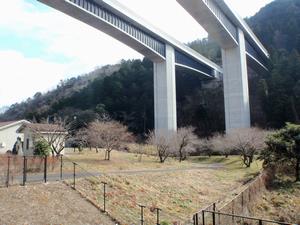 高尾梅の郷0201-2