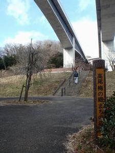 高尾梅の郷0201-1