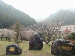 高尾梅の郷まちの広場0222-3