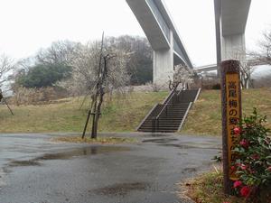 高尾梅の郷まちの広場0222-1