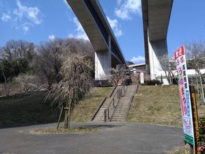 高尾梅の郷まちの広場0304-3