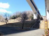 高尾梅の郷まちの広場0219-1