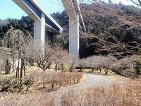 高尾梅の郷まちの広場0219-2