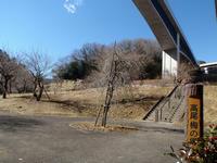 高尾梅の郷まちの広場0226-1