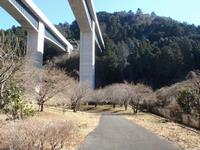高尾梅の郷まちの広場0226-2