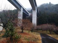 高尾梅の郷まちの広場0303