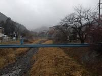 遊歩道梅林0303-1