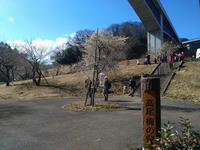 高尾梅の郷まちの広場0310