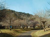 高尾梅の郷まちの広場0314-3