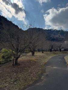 260218梅の郷まちの広場(2)