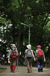 高尾山ハイキング