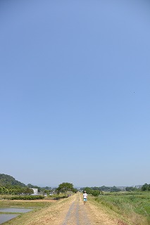 かたらいの道の写真