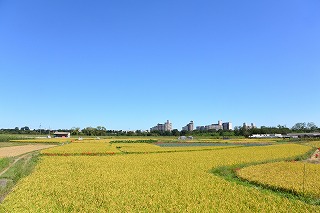 高月町の田園の写真