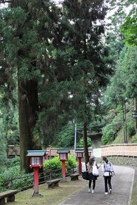 ハイキングの様子2