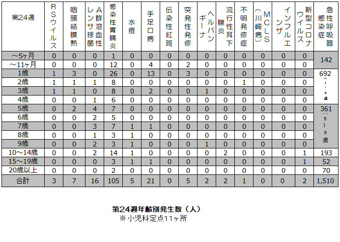 第24週年齢別発生状況表