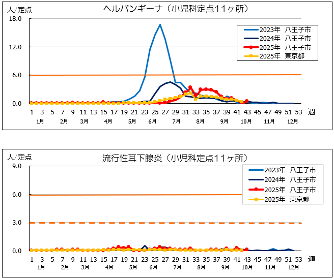 第43週ヘルパン、耳下腺