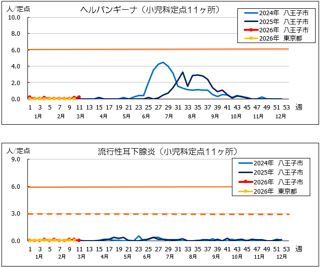 第11週ヘルパン、耳下腺