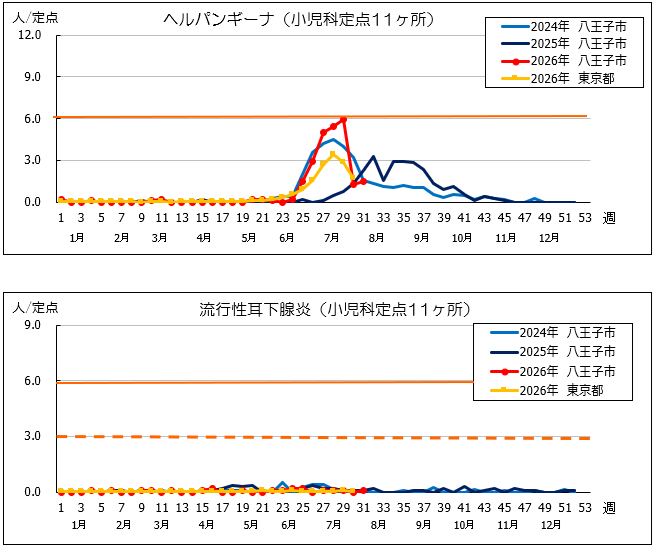 第31週ヘルパン、耳下腺