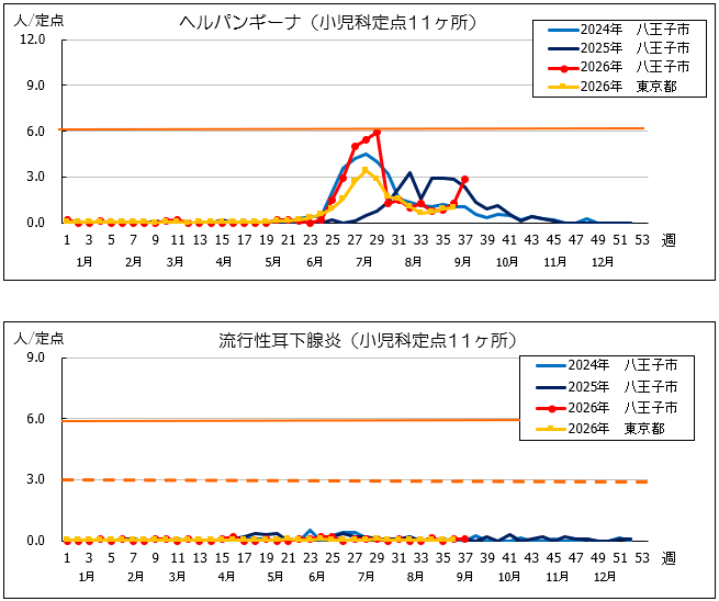 第37週ヘルパン、耳下腺