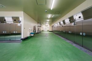 コンテナプール