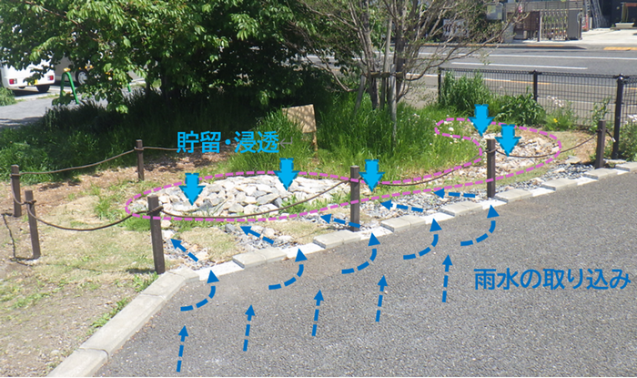 雨庭イメージA地点