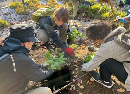 R7第1回雨庭植栽5