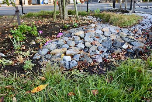 R7第1回雨庭植栽6