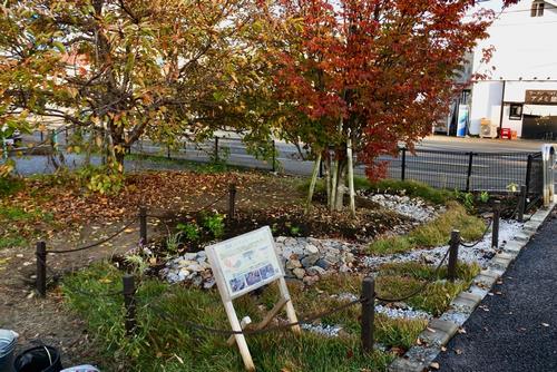 R7第1回雨庭植栽8