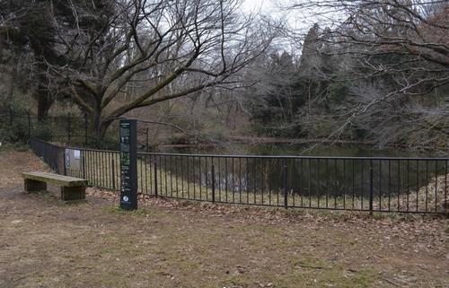 R7第2回雨庭づくり2