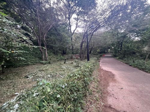 R7第2回雨庭づくり3