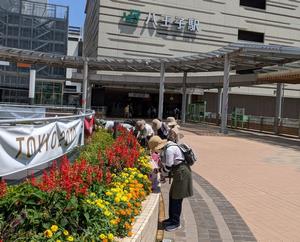 八王子駅南口花壇
