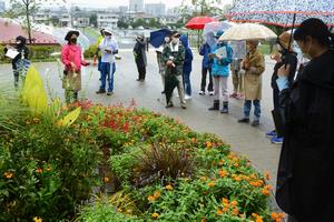 花壇環境調査の様子