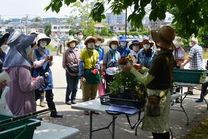 花苗植え付けの様子